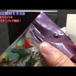 MTG  毎日開封５５日目　モダンホライゾンⅡ　セットブースターパック開封　MAGIC THE GATHERING