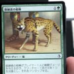 【アモンケット】アモンケットにもフレンズはいる。パック開封レビュー！13/36【速攻mtg】