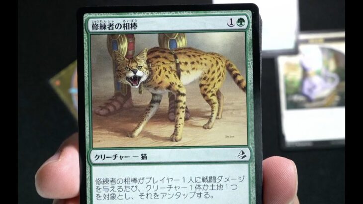 【アモンケット】アモンケットにもフレンズはいる。パック開封レビュー！13/36【速攻mtg】