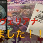 【ヴェリアナ】団結のドミナリア　セット・ブースター1Box開封！【ゲットだぜ！】【#MtG】