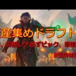 【MTGアリーナ】ドラフトォォオォオオ！！！【兄弟戦争】