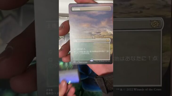 【MTG】兄弟戦争The Brothers’Warコレクターブースター開封Pack Opening #39 #shorts