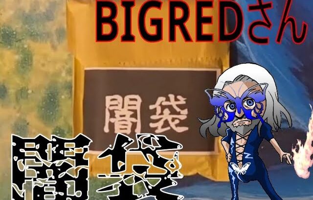 【MTG開封】闇！？BIGREDさんで購入した闇袋を開封！！