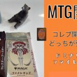 [MTG]コレブ2種どっちが強めな〜んだいっ