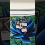 【MTG】【開封】ファイレクシア:完全なる統一ドラブPHYREXIA Pack Opening #7 #shorts