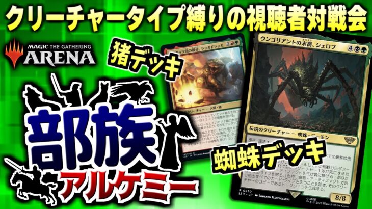 【MTGアリーナ】蜘蛛デッキから猪デッキまで登場！？ クリーチャータイプ縛りのアルケミーで視聴者と対戦！！【視聴者対戦会】