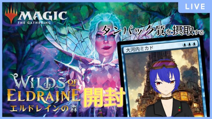 【MTG】エルドレインの森を燃やす セットブースター【開封】