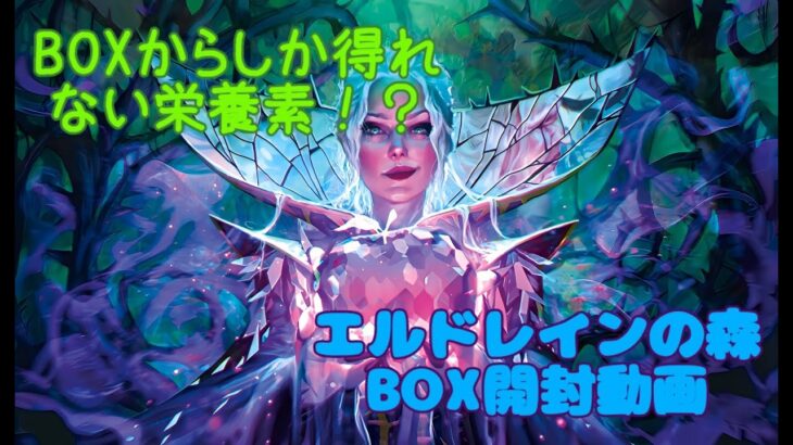 【MTG】パックからしか摂れない栄養素が確実に存在する！エルドレインの森セトブ開封