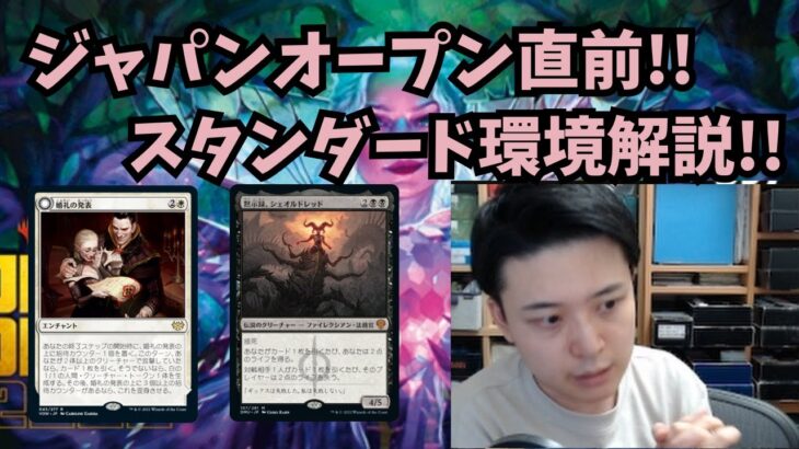 【MTGアリーナ】ジャパンオープンに向けてスタンダード環境解説!!【エルドレインの森】