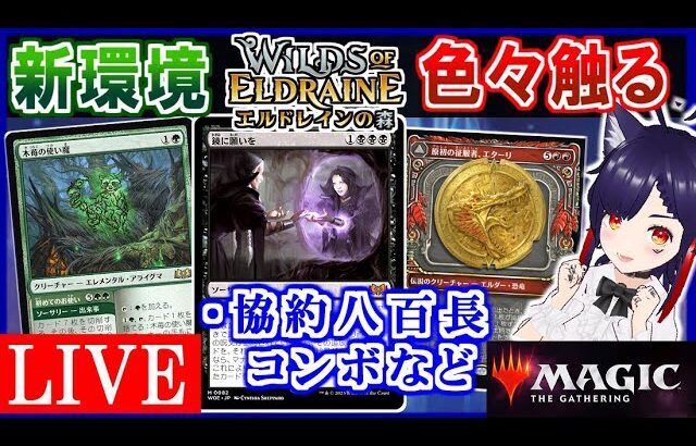 🔴『エルドレインの森』新環境デッキを色々触る🔥 協約コンボなど👀【MTGアリーナ｜マジック：ザ・ギャザリング】