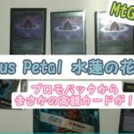 【30thプロモ】Lotus Petalとプロモパック開封【思わぬパックからとんでもない高額カードが】