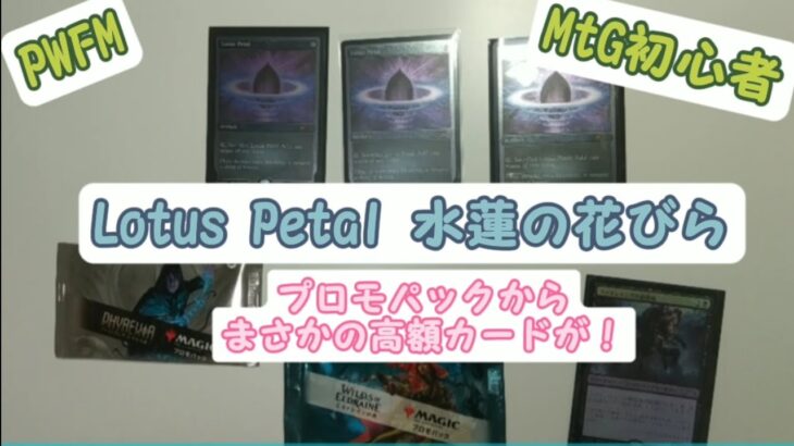 【30thプロモ】Lotus Petalとプロモパック開封【思わぬパックからとんでもない高額カードが】