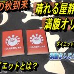 (MTG)オリパの秋！晴れる屋静岡店様満腹オリパでダイエット作戦！？～レン、それは食べすぎだよSP～