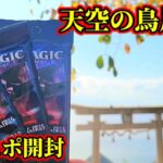 【MTG開封】天空の鳥居でパック開封！頂上から見る景色は絶景！パック内容はいかに？！