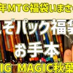 【MTG】2023 BIGMAGIC 10,000円パック福袋をいまさら開封【福袋】