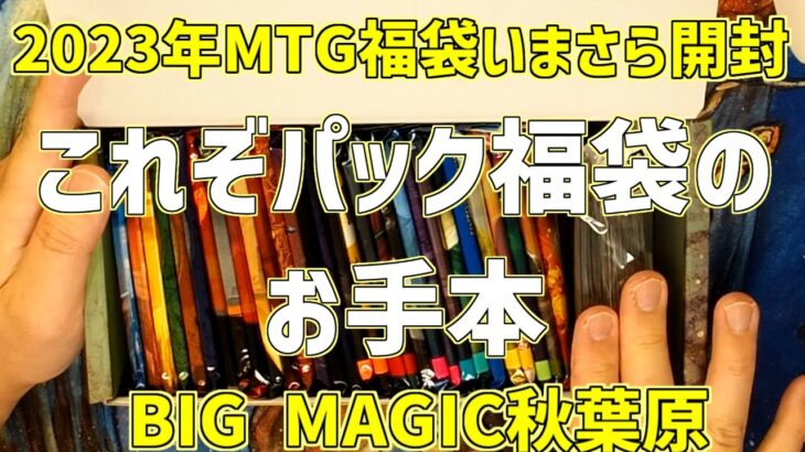 【MTG】2023 BIGMAGIC 10,000円パック福袋をいまさら開封【福袋】