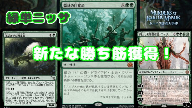 【MTGアリーナ：スタン】森林の目覚め強化！？　相性良いの多すぎだろ！　緑単ニッサ【カルロフ邸殺人事件】