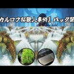 【MTGアリーナ】赤ニシンそばヒンナヒンナ会【パック開封】