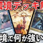 【MTGアリーナ】新環境解説 -今強いデッキとは- 結果を残したローグデッキも紹介【MTG Arena/Magic The Gathering】