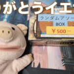 【MTG】500円で感情がぐちゃぐちゃになるイエサブ閉店アソートBOXを開封！