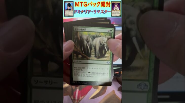 MTGパック開封　No.1　#mtg　#short　#マジックザギャザリング　#パック開封