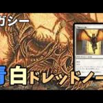 【#レガシー/#legacy】【青白ノート】MOパンダのわくわくレガシー！【MTG】【対戦動画】