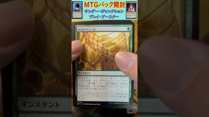 MTGパック開封　No.80　#mtg　#short　#マジックザギャザリング　#パック開封