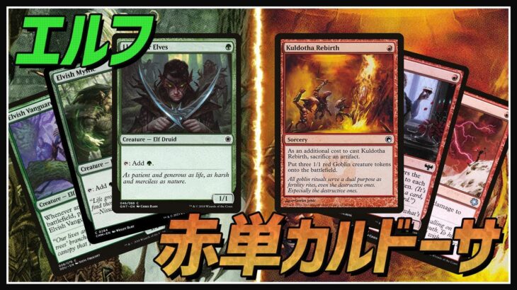 【パウパー】初の対戦動画撮ってみた。エルフvs赤単カルドーサ【MTG】