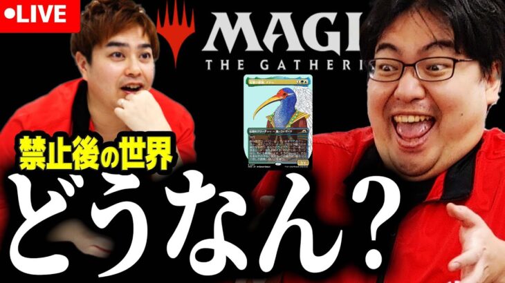 【MTG】ナドゥ・ソリン・悲嘆禁止で新デッキ続々登場！禁止後どうなったか見ていく【環境激変】