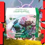 【MTG最新作】ブルームバロウコレクターブースター最速開封！【東京MTGオンラインブース】