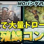 【#モダン/#modern 】【繁殖鱗コンボ】MOパンダのわくわくモダン！【MTG】【対戦動画】