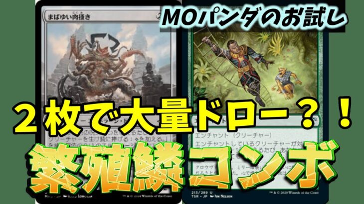 【#モダン/#modern 】【繁殖鱗コンボ】MOパンダのわくわくモダン！【MTG】【対戦動画】